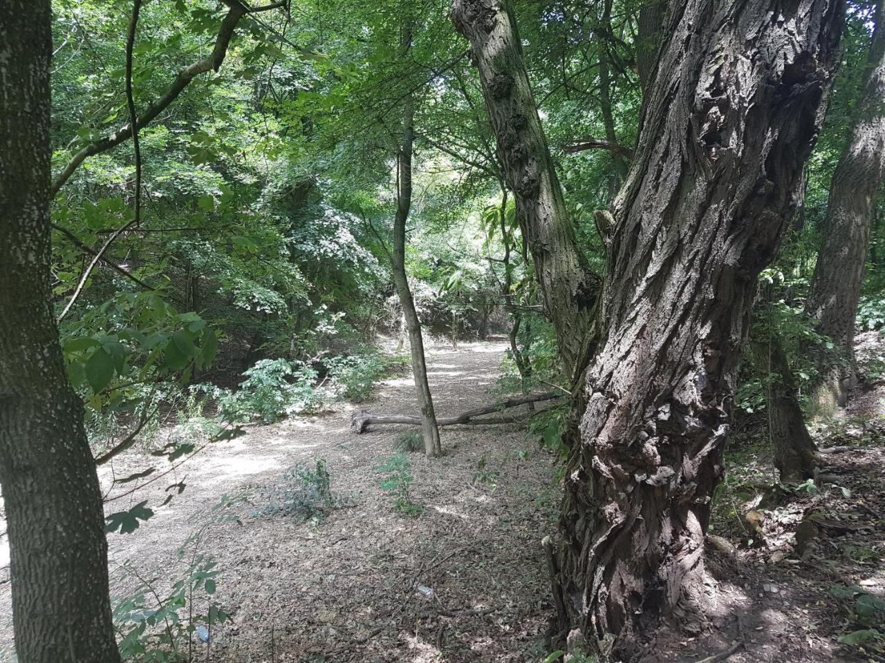 Old Stone Villa Obarok Zewnętrze zdjęcie